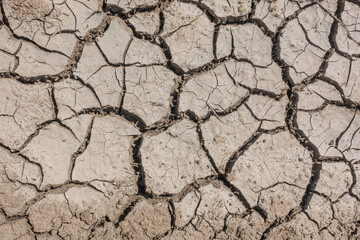 Texture Of Cracked Earth Top View