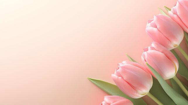 Women's Day, Valentine's Day, Mother's Day background concept, empty floral background with copy space