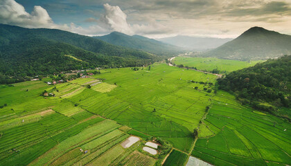Obraz premium A picturesque landscape featuring vibrant green rice fields and a backdrop of towering mountains.
