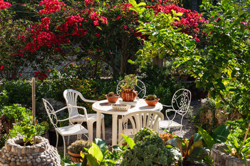 a beautiful patio with table and chairs, surrounded by blooming Bougainvillea plants
