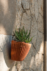 clay pot with plants attached to stone wall