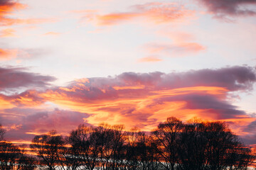 beautiful sunset over the trees