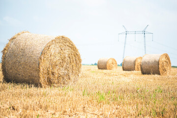 Fototapeta premium hay bales on the field