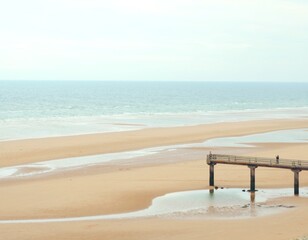 People on the beach walkway with the sea in the background. 