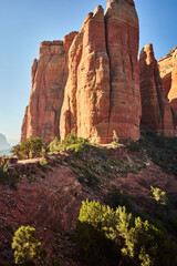 Fototapeta premium Sedona Red Rock Cliffs at Sunset with Sparse Vegetation