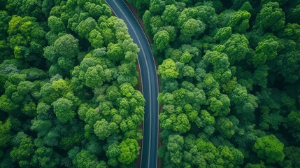 Aerial view of forest road, Healthy ecosystem and environment concept and background. Generative Ai