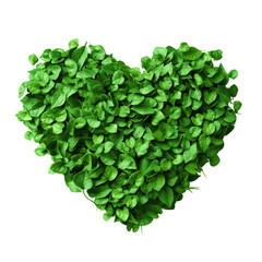 heart shape made of green leaf, isolated love symbol 