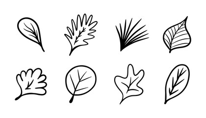 Doodle vector spring set of floral shapes, leaf. Simple black cute summer set