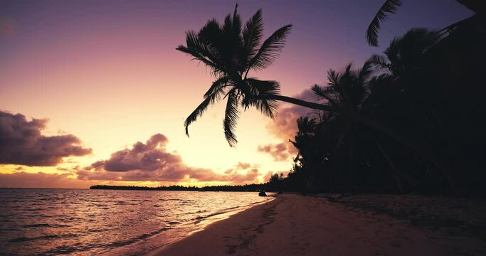 Caribbean paradise island beach at color scenic sunrise with sea shore and palm tree silhouettes, ocean  beach sunset