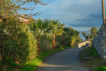 Obraz premium street in a village in winter in Cyprus 3