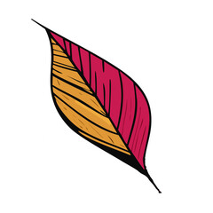 autumn leaves vector illustration