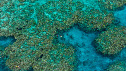 Snorkelling on a remote coral reef in Fiji