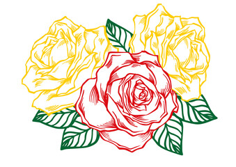 drawing of three roses