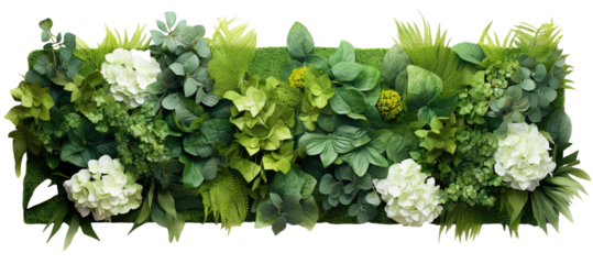 Green garden wall from tropical plants and flowers, cut out
