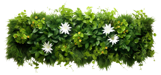 Green garden wall from tropical plants and flowers, cut out