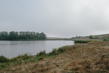 Landscape with a pond and deciduous forest.