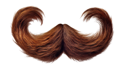 Majestic chestnut brown hair mustache curled at the ends, cut out