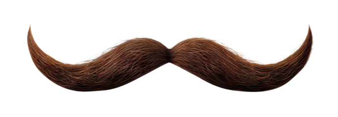 Majestic chestnut brown hair mustache curled at the ends, cut out