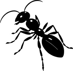 Ant black and white icon isolated on white background