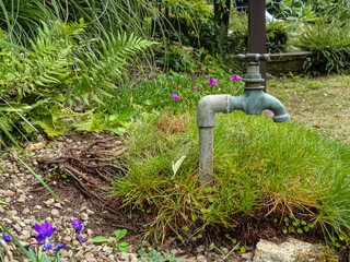 water pump in garden