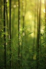 A play of subtle greens and soft bamboo textures convey the serenity of a bamboo grove