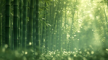 A play of subtle greens and soft bamboo textures convey the serenity of a bamboo forest rustling in the breeze