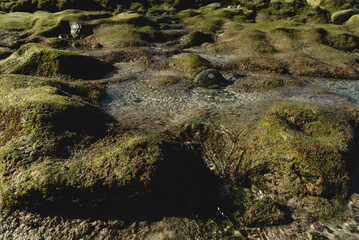 Close up of rocks in Ensenada de Muertos, Dreams Bay, LA Paz, Mexico