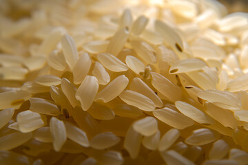 close up of rice grains
