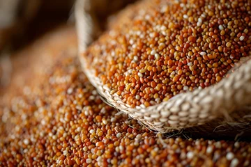 Fotobehang close up of a sorghum seed © Joshua Lopez