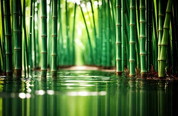 Gordijnen green bamboo forest in water © Ольга Сорокина