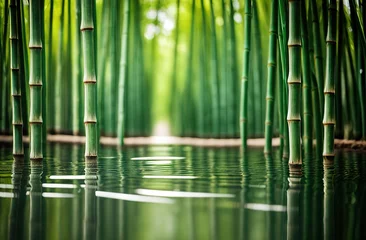 Fotobehang bamboo forest background © Ольга Сорокина