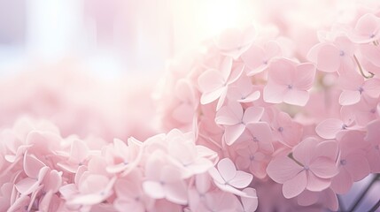 Obraz premium Enchanting Blossoms: A Kaleidoscope of Delicate Pink Petals