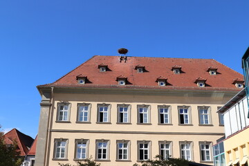 Storchennest in der Stadt auf Barockgebäude.