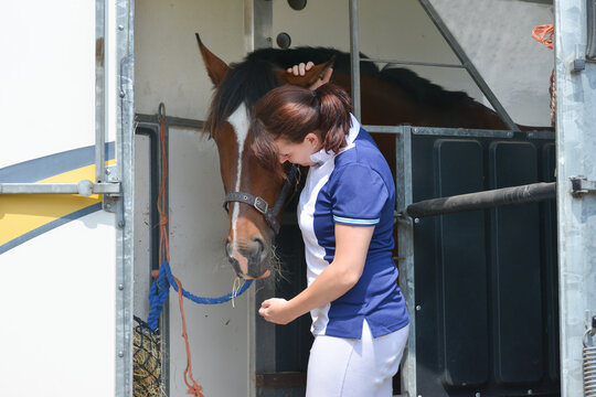 Pretty young female rider spends a moment with her horse as it stands tried up in its horse box after competition, before driving home.