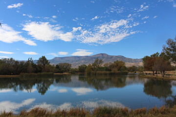 Fototapeta na wymiar Calm lake surrounded by trees with sky reflection