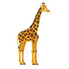 Obraz premium giraffe isolated on white