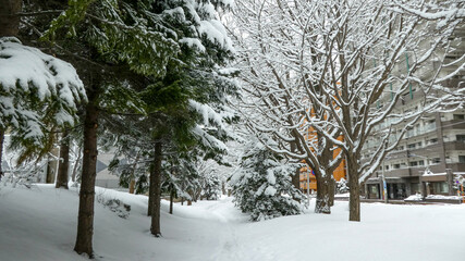 冬の中島公園（北海道札幌市中央区）
