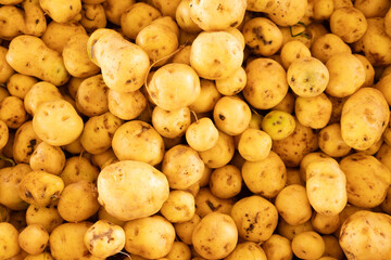 potatoes small yellow variety