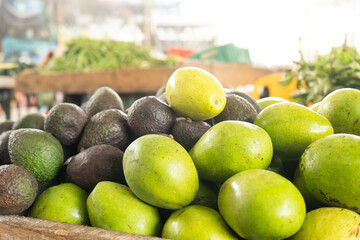 fresh green avocado market