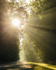 Foggy sunrise on the Blue Ridge Parkway