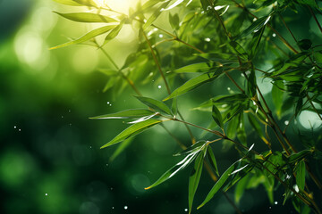 Obraz premium Bamboo tree in the forest. Earth Day