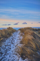 snowy pathway at the beach in denmark at evening. High quality photo - 729651134