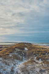 Coast and dunes at Vejlby klit in denmark in winter with snow. High quality photo - 729653955