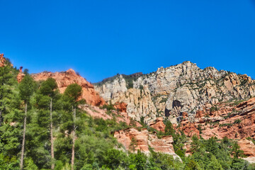 Fototapeta premium Sedona Red Rock Mountains with Pine Trees and Blue Sky