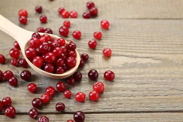 Spoon with fresh ripe cranberries on wooden table, closeup. Space for text