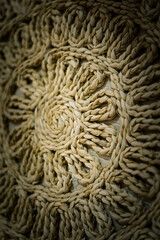 Hanging wall tapestry as a background. 