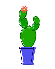 Green prickly cactus in a blue pot blooms a red flower. House plant with green prickles stands inside a house. Vector.