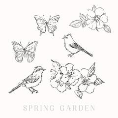 Spring birds, blossom flowers, butterflies, vector illustration sketched elements - 729659572