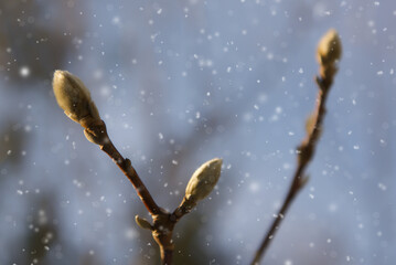 Winter_00008 © Dariusz J.