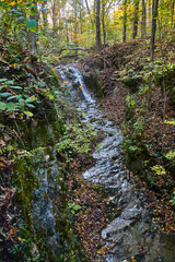 Autumn Forest Stream in Salamonie River State Forest